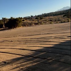 BRUSH/WEED REMOVAL