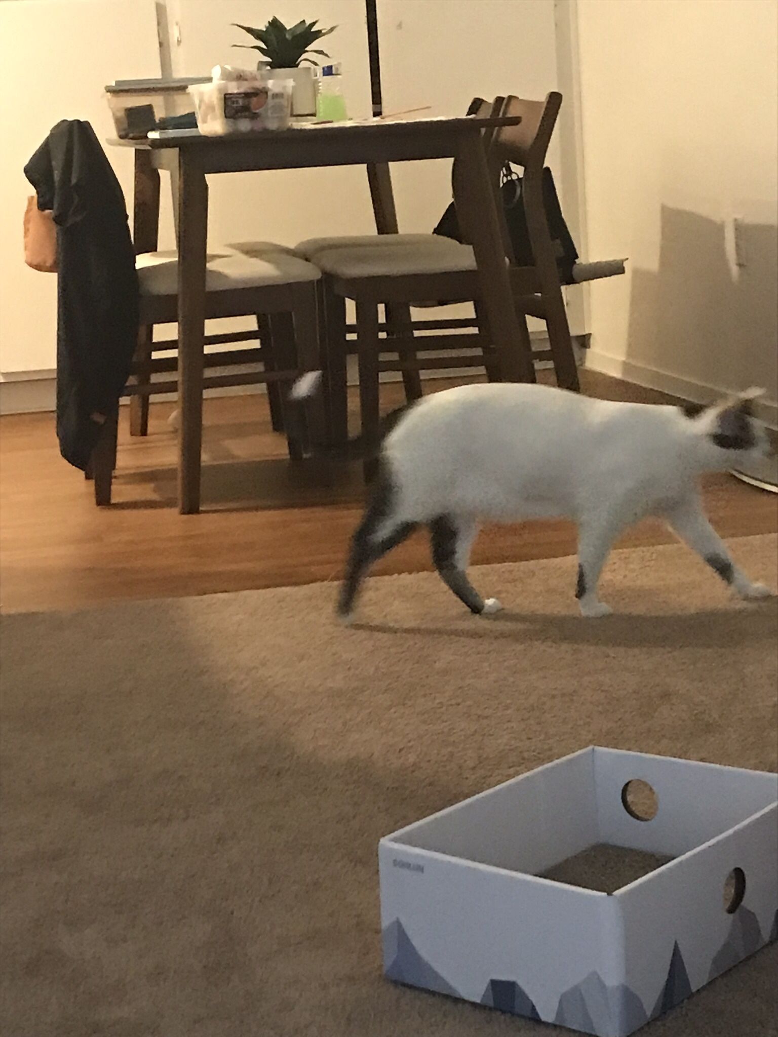 Mattresses & Dining Table