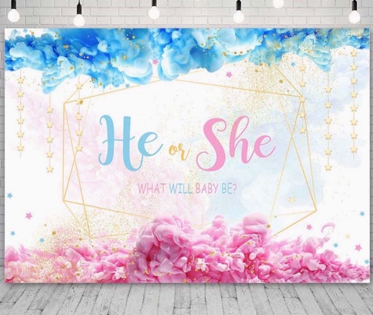 Gender Reveal Backdrop