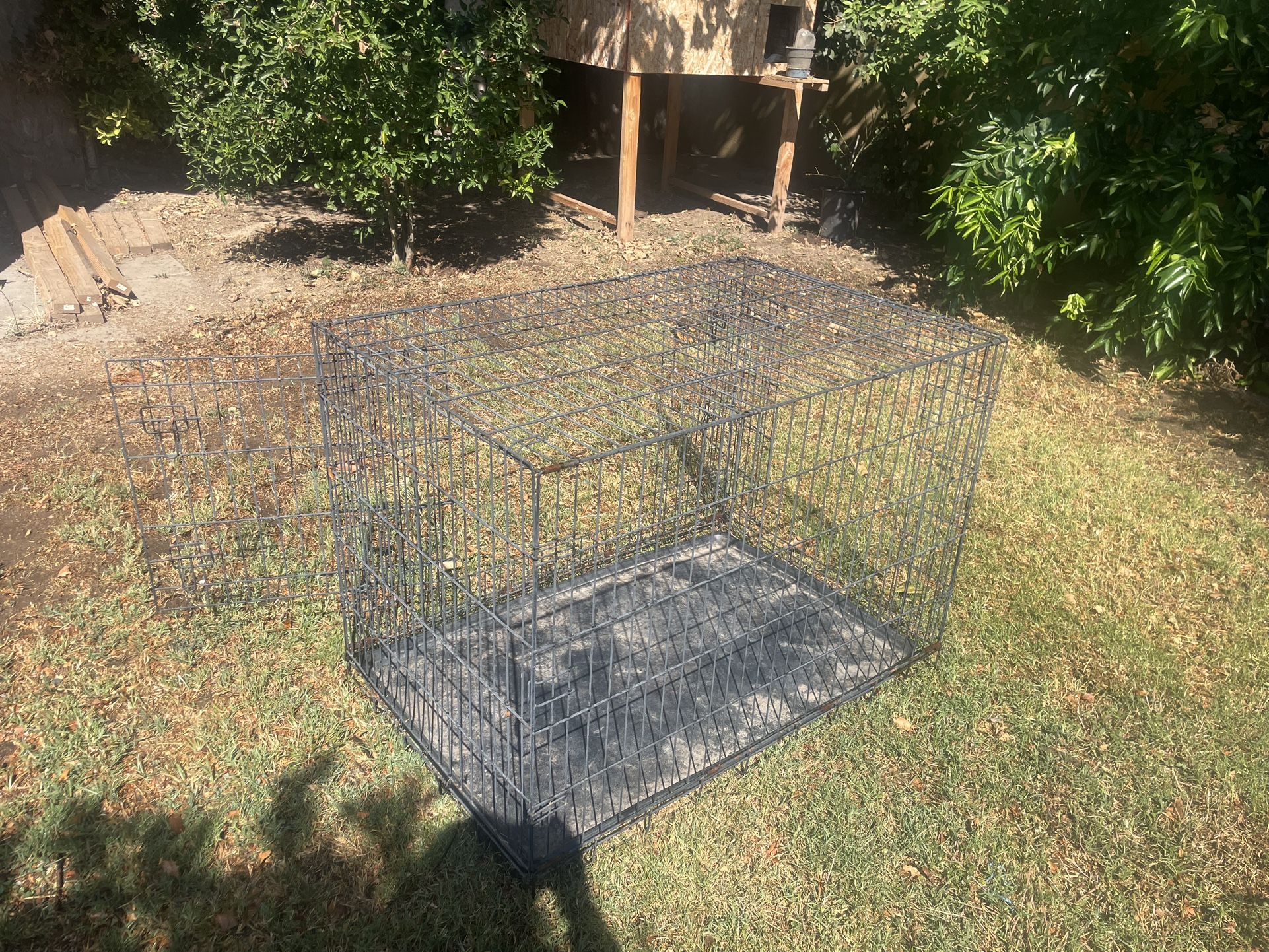 medium cage 
