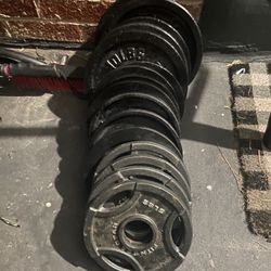 10 Lb Plates And 5 Lb Plates   100 Lbs