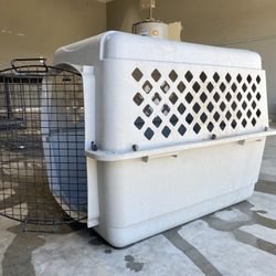 Dog kennel 