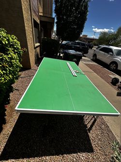 Ping Pong Table