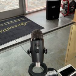 Electronic Microphone