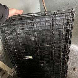 Kennel Medium Sized