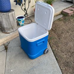 Igloo Ice Chest, W/ wheels