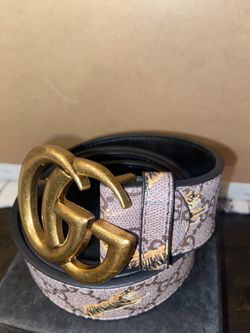 Brown Belt