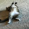 Alan