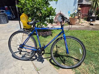 Street Bike