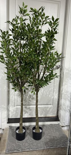 Two artificial olive trees.12 in New