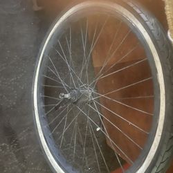 Beach Cruiser Back Rim