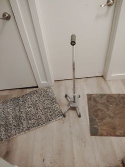 Cane