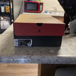 Jordan 12 Twist 