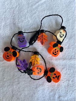 Disneyland lights  up necklace