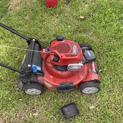 Toro