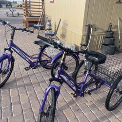 Adult Tricycles