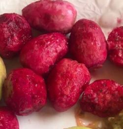 Planta de nopales de tunas Rojas
