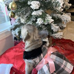 Vestidos Para Cachorros/ Pet Dresses 