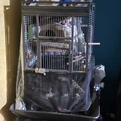 Cage 