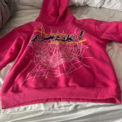Pink Spider Hoodie
