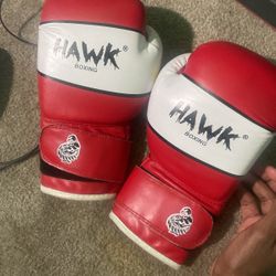 Hawk Boxing Gloves