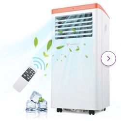 Portable Air Conditioner And Dehumidifier 