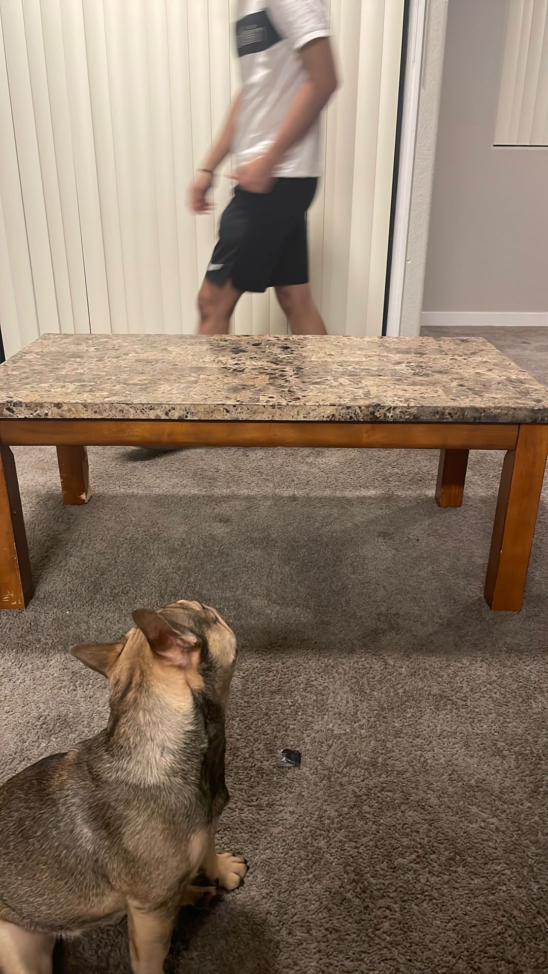 Sentir Table/ Mesa De Sentro