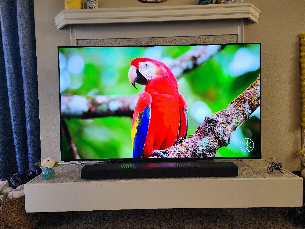 Vizio 65 Inch OLED 4K TV 