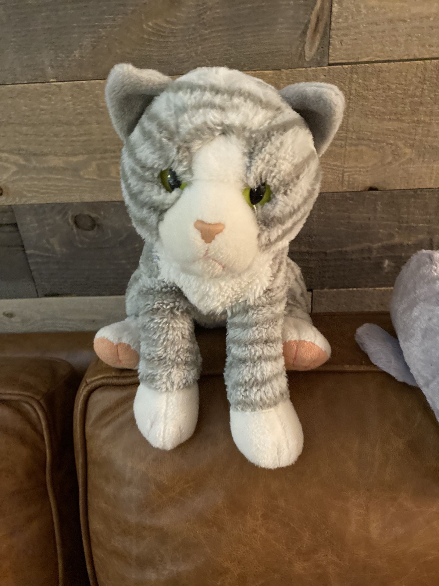 Cat Stuffed Animal By Wild Republic 