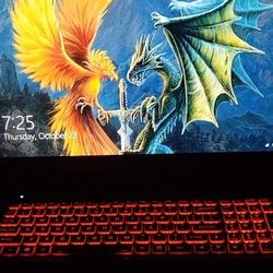Custom Clevo/Sager Gaming  Laptop 