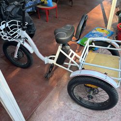 3 Wheel Electric Bike