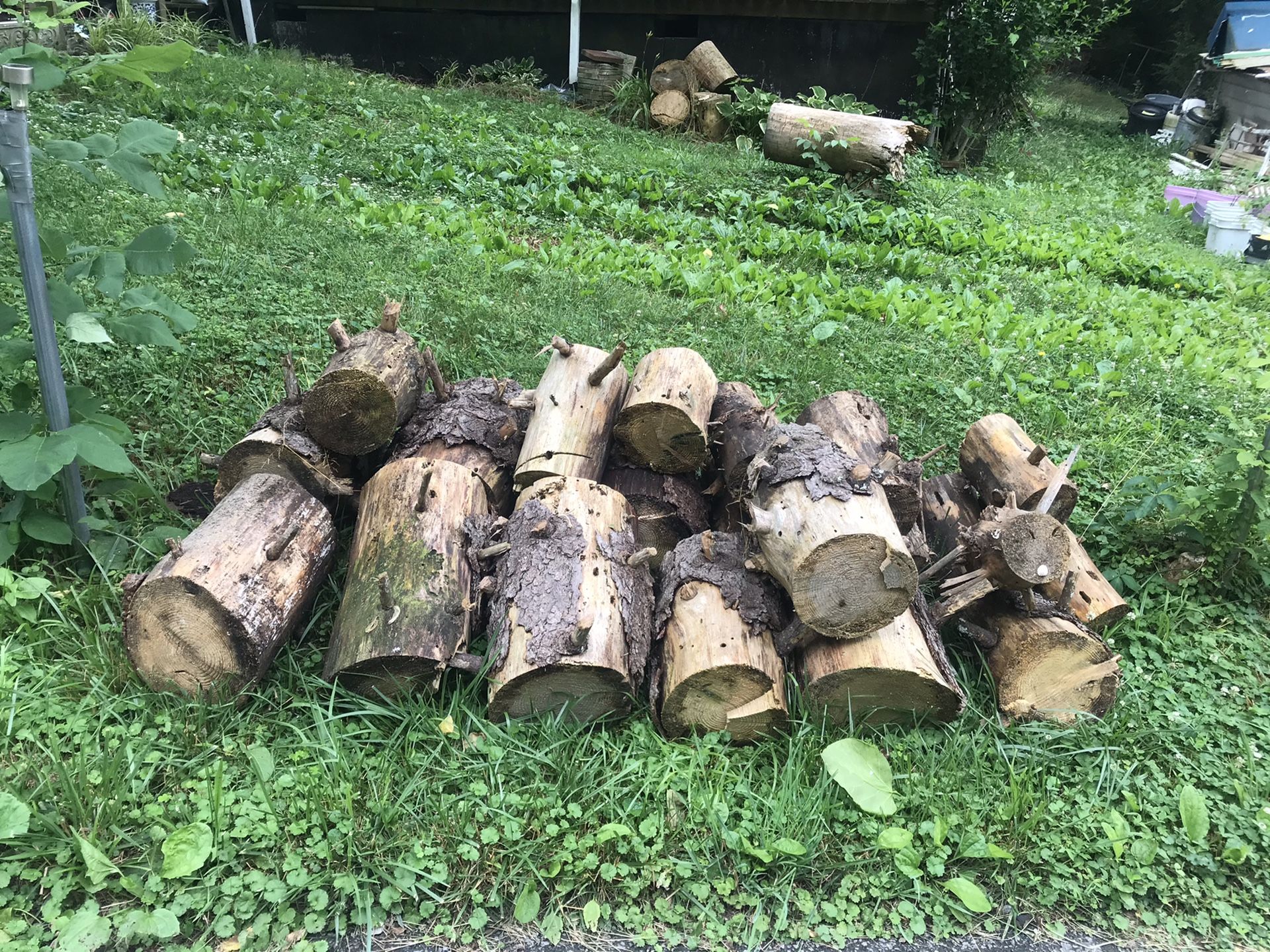 Free logs, you haul