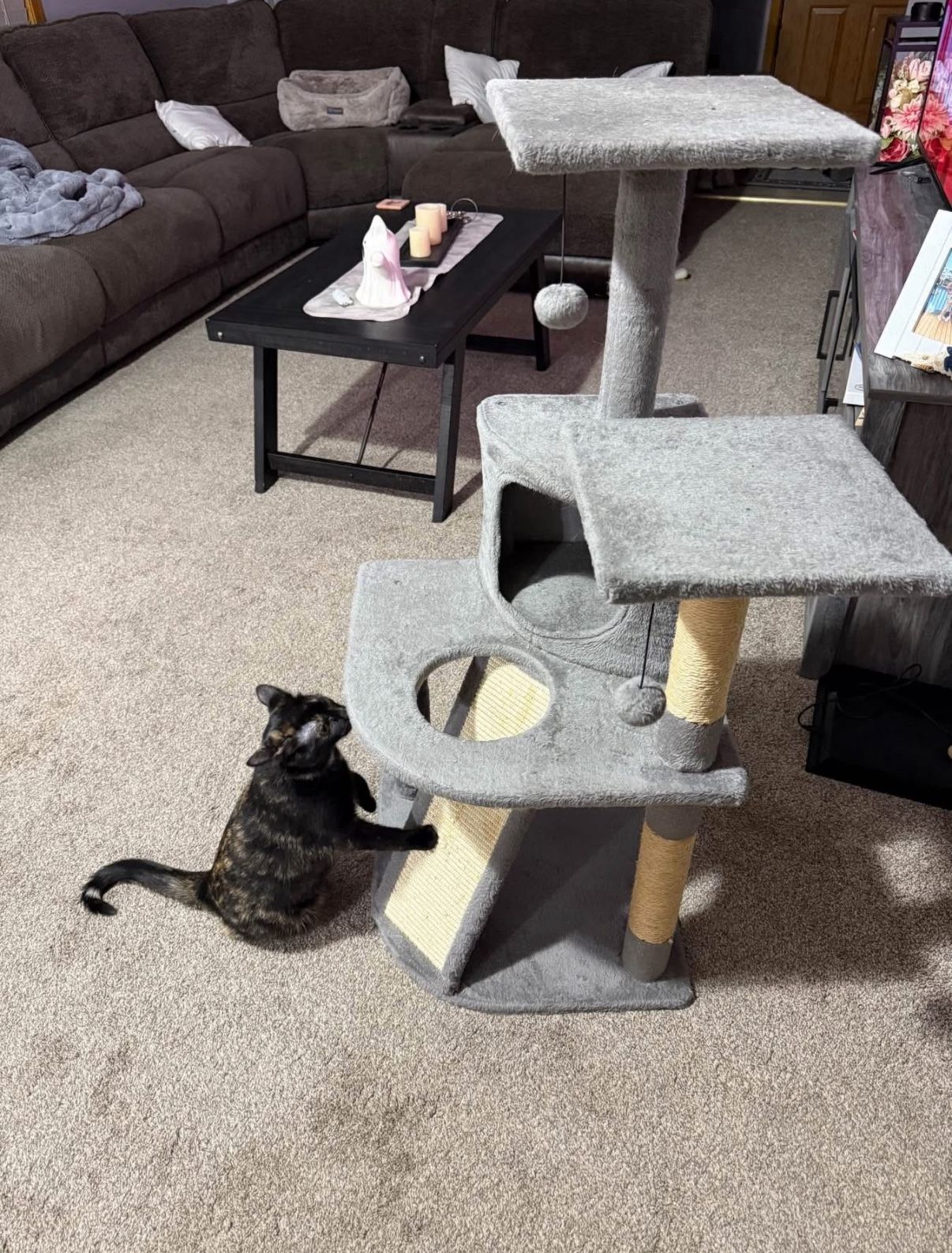 Cat Tree