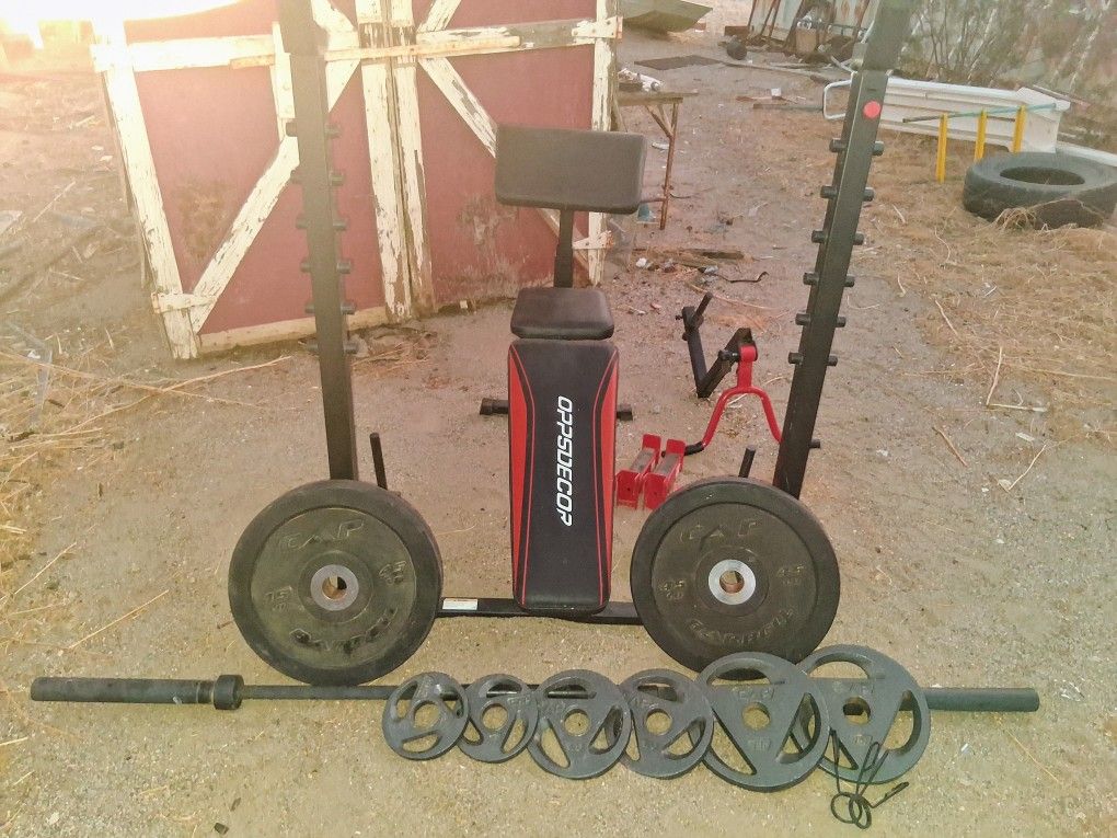 Weight Bench