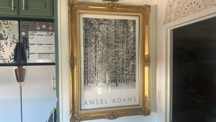 Ansel Adams Framed Photography Print Authorized Edition Poster for Pine Forest in Snow