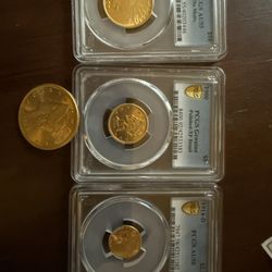 Gold Coins 