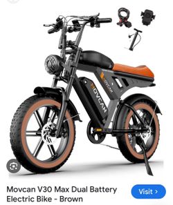 Adult electric bike