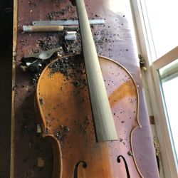Violin Repair ,cello Repair 