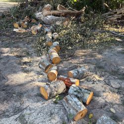 FREE Wood