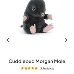 JELLYCAT CUDDLEBUD MORGAN MOLE PLUSH. $20