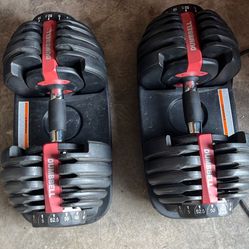 Bow Flex Style Weights  