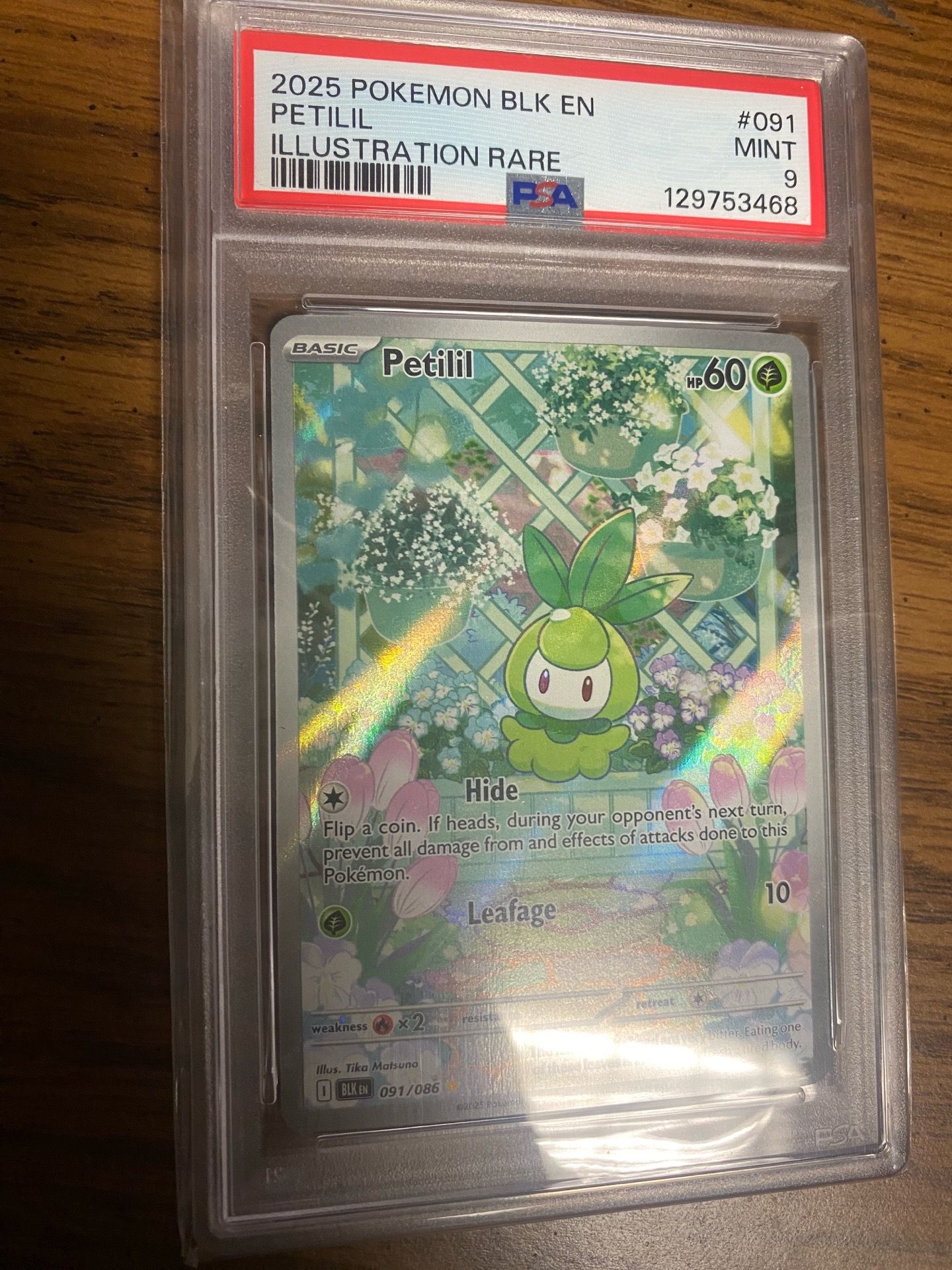 pokemon cards surging sparks near me Pokmon TCG: Scarlet & Violet-Surging Sparks Sleeved Booster Pack (10 Cards)