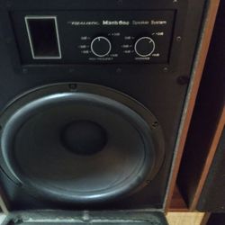 Vintage Realistic mach 1 speakers