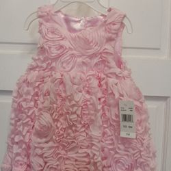 Toddler Dress Size 18 M