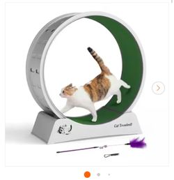 Cat Treadmill Exercise Wheel