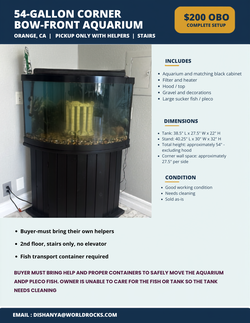 54-Gallon Corner Bow-Front Aquarium, Stand & Pleco – $200 OBO