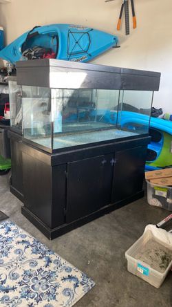 Aquarium 90g