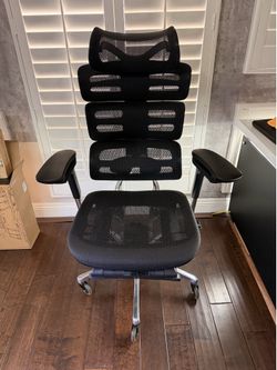 Odin lake O2 ergonomic chair