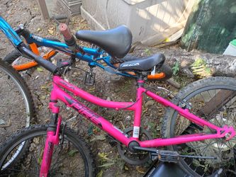bikes