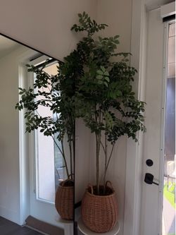 5ft Artificial Plant